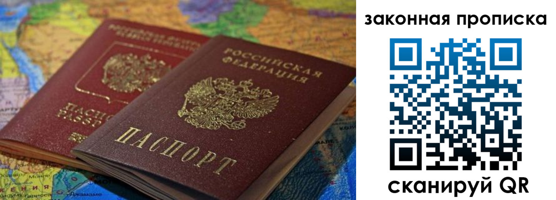 прописка поиск в Гатчине